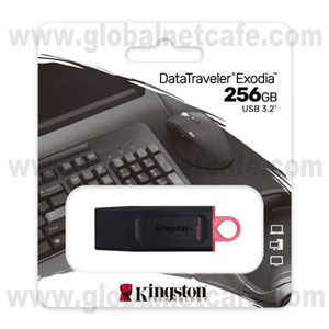 MEMORIA  USB   256MB  KINGSTON DTX 100% Nuevo